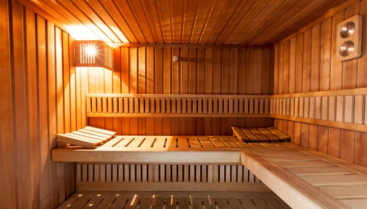 Alysson Hotel sauna