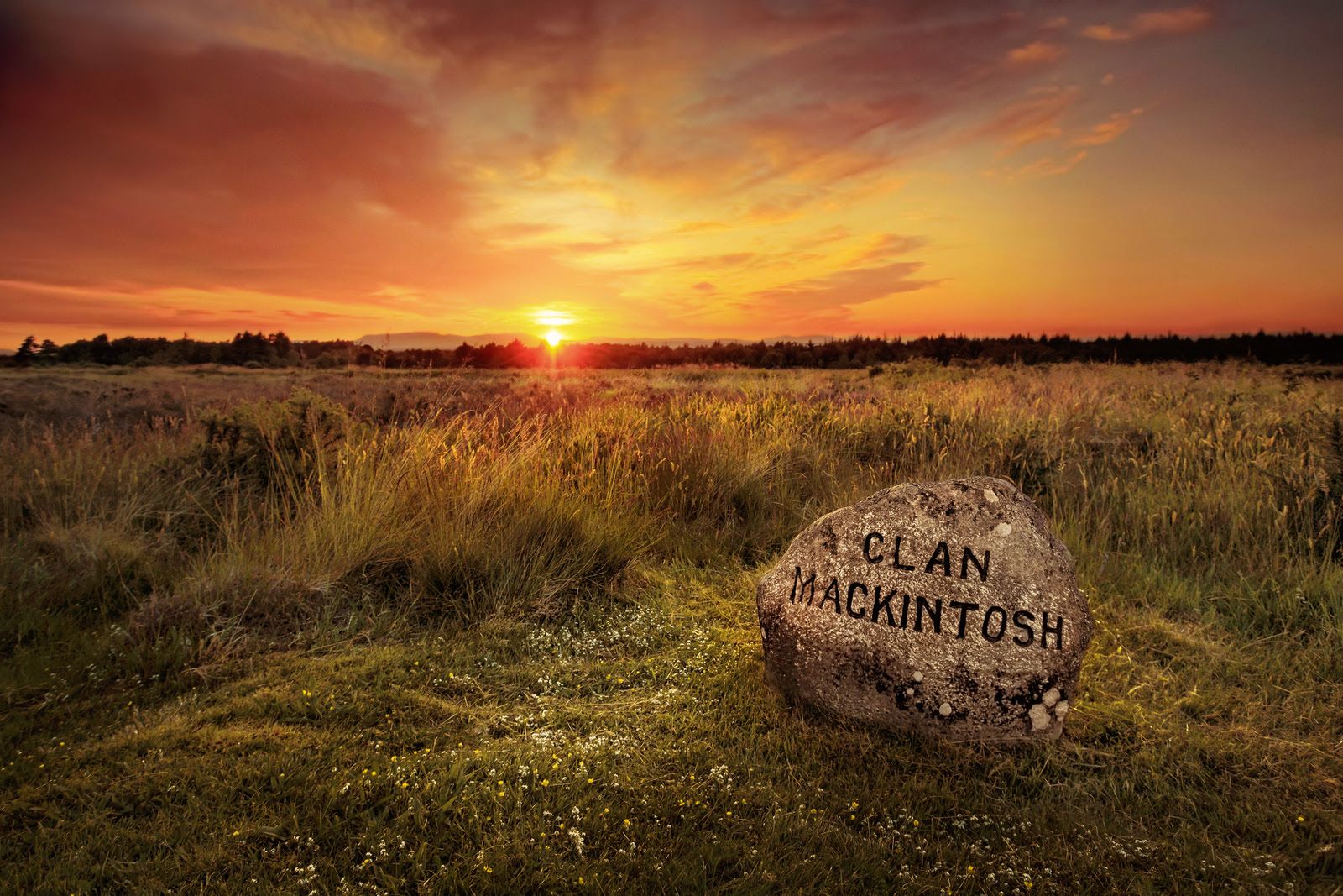 Culloden Battlefield