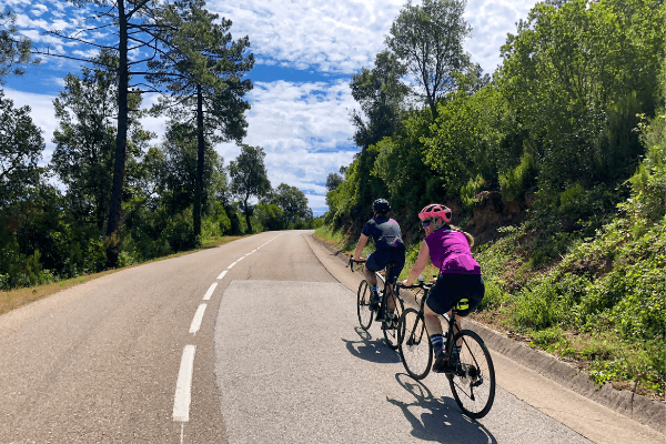 Two cyclists on a tree lined road