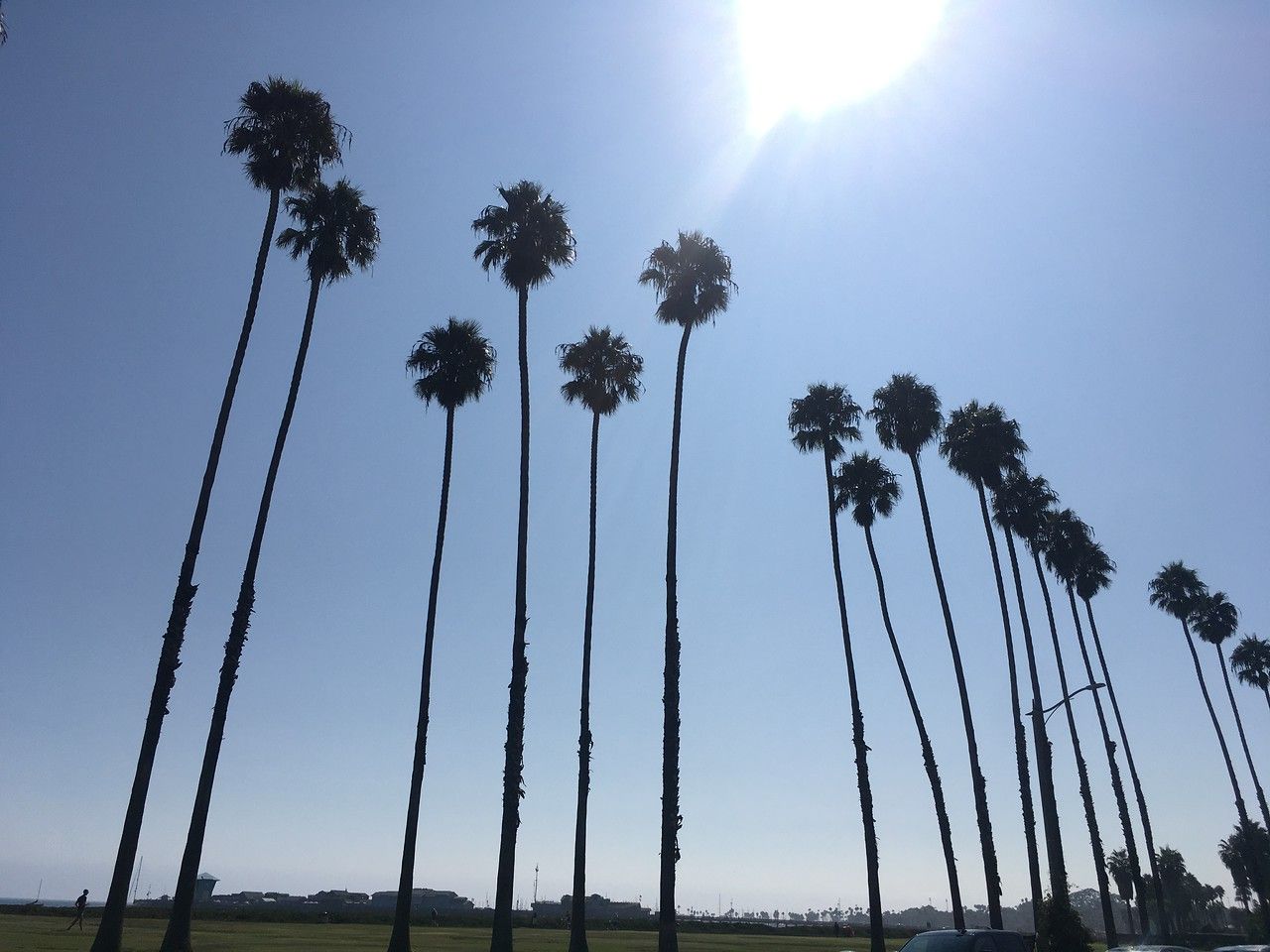 Goleta Beach