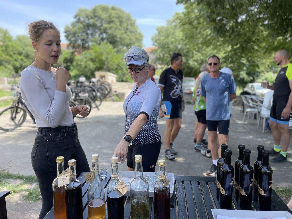 Farm-to-table lunch on an organic olive grove