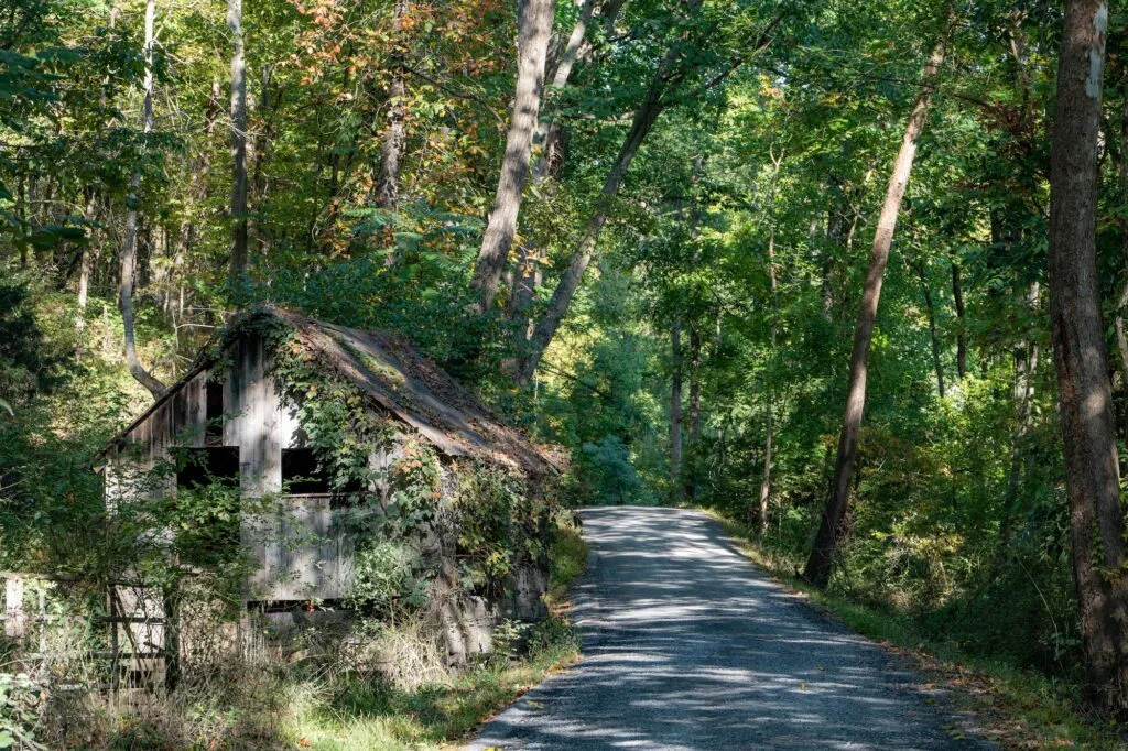 Shenandoah Valley Gravel Bike Tour