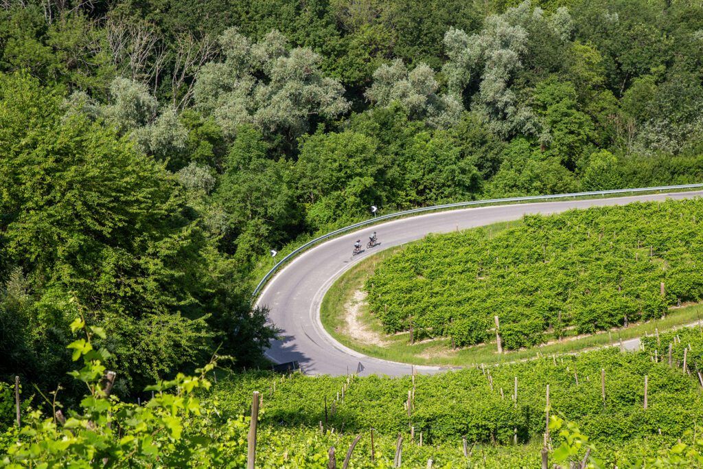 Prosecco Hills Self-Guided Bike Tour