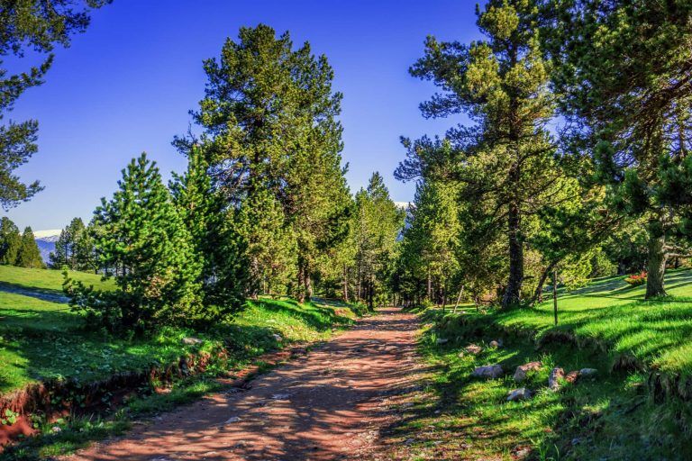 Villa Paulita hotel walking path