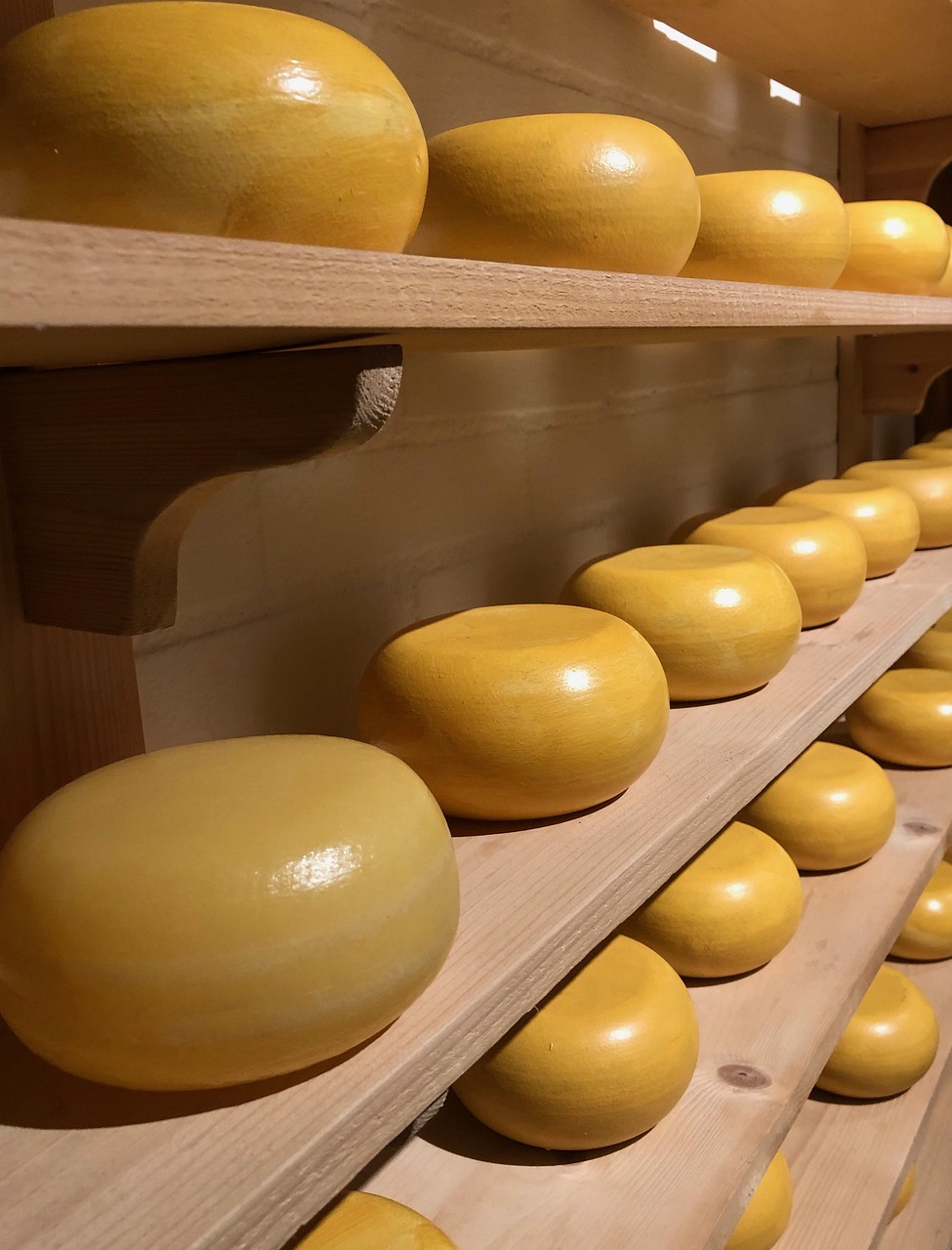 Visit an authentic Dutch cheese farm