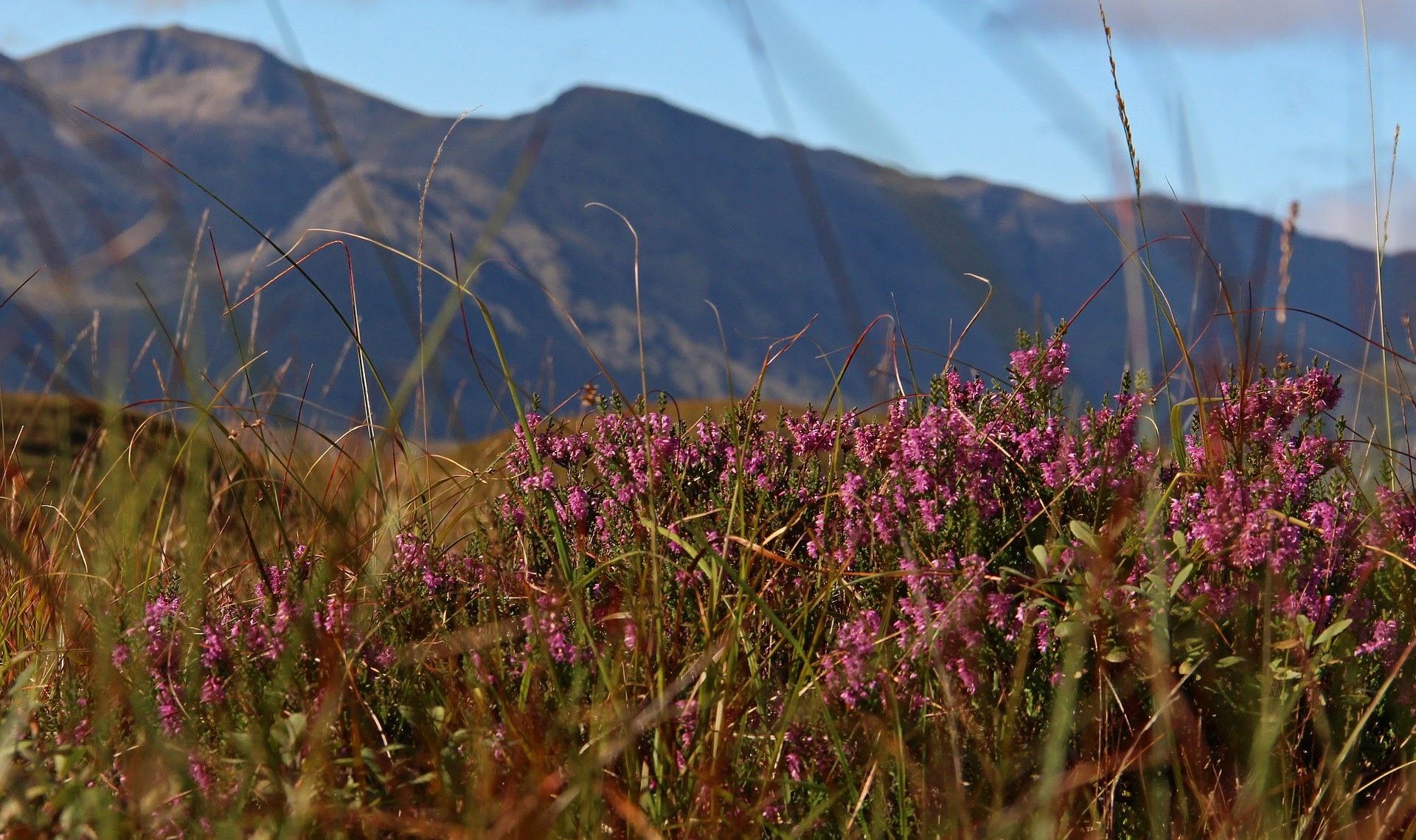 Traverse the spectacular Dava Moor 