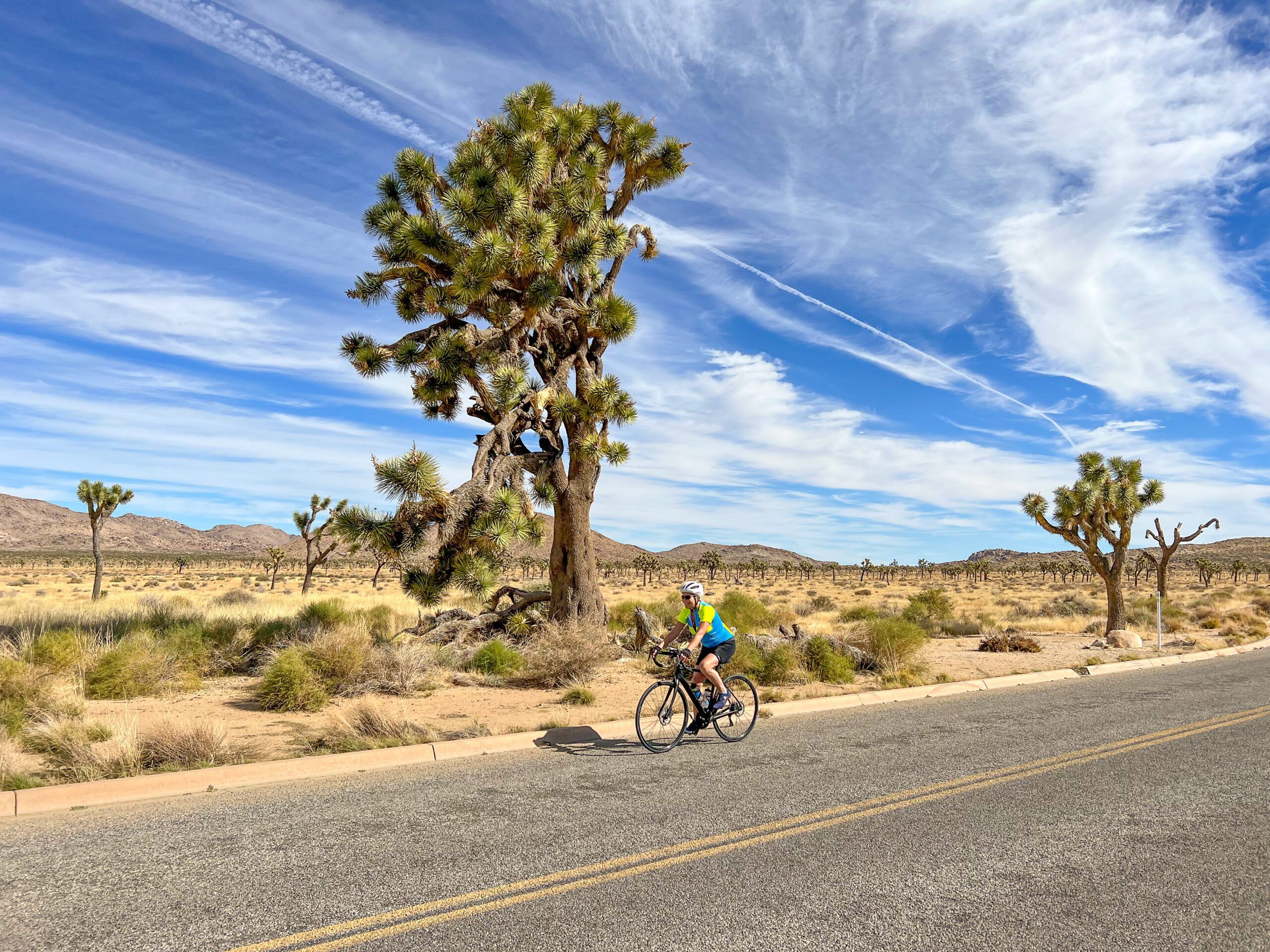 a biker in Palm Springs