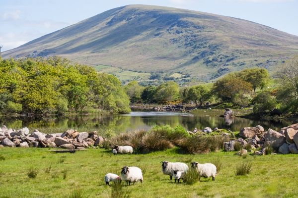 Nephin Mountain