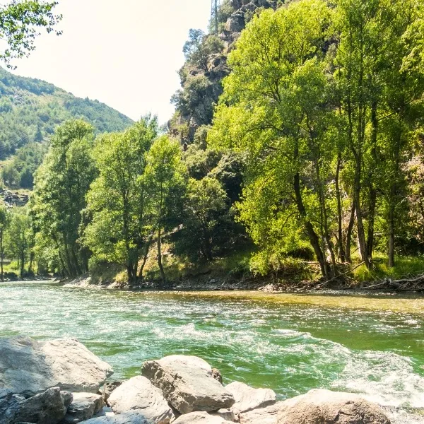 Enjoy Sort and all its charms