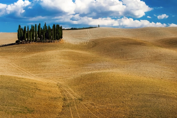 Ride in the Crete Senesi moonscape 