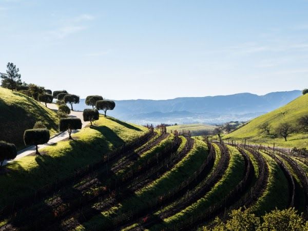 Escape to the Wine Trail