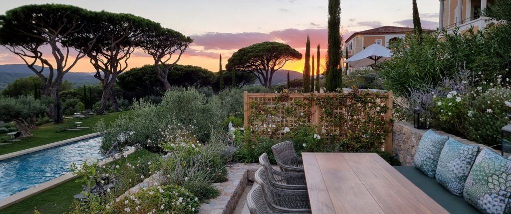 View of hotel gardens and pool with umbrella pine and cyprus trees.