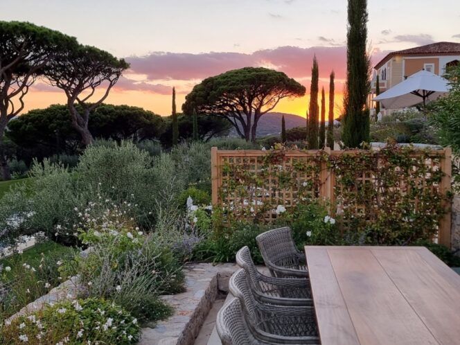 View of hotel gardens and pool with umbrella pine and cyprus trees.