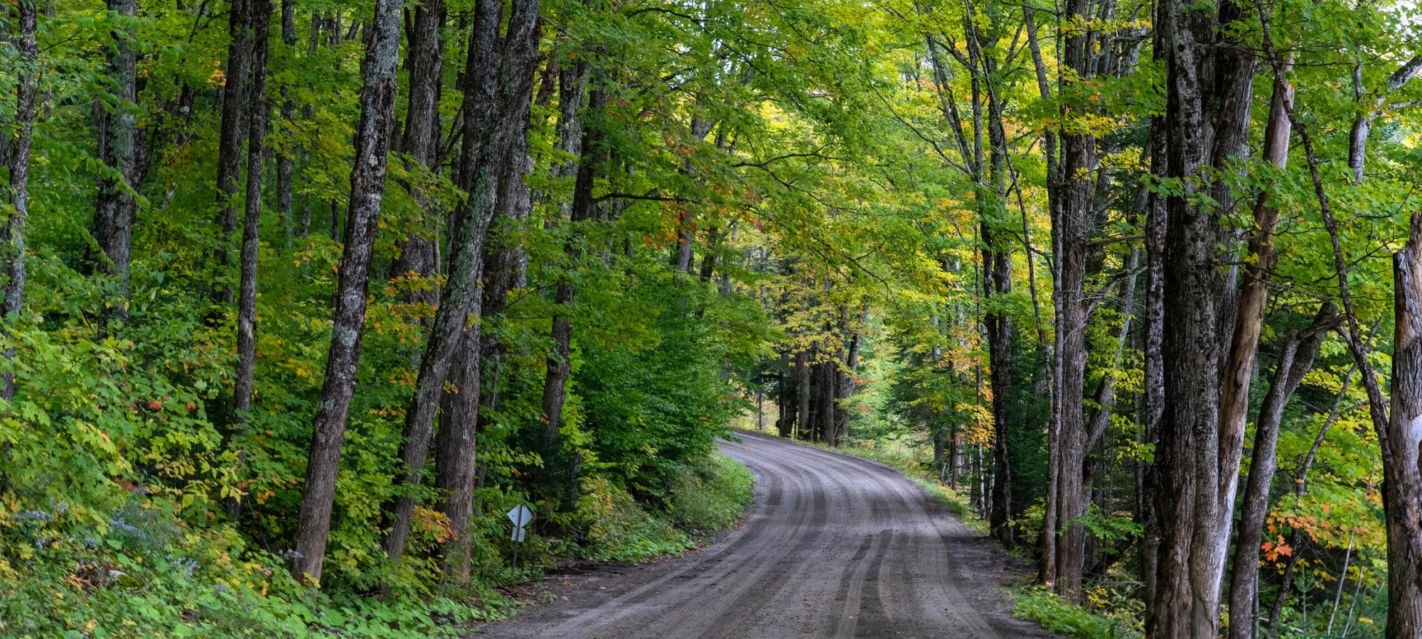Vermont Gravel Bike Tour