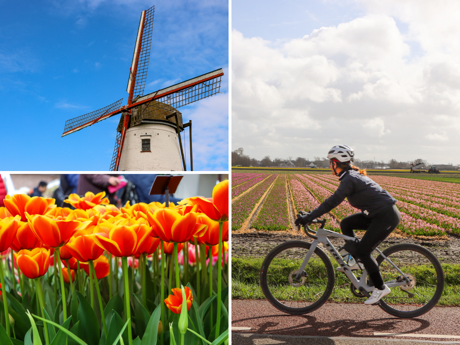 Bike Tour in Amsterdam