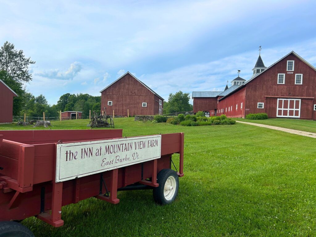 Vermont Gravel Bike Tour