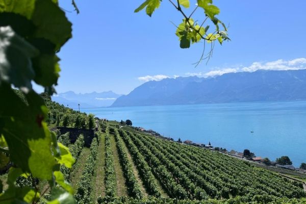 Lavaux: Switzerland's Vineyard Gem