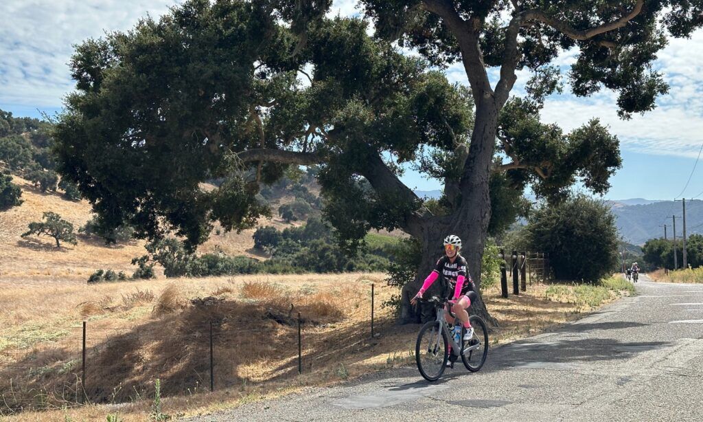 Santa Barbara Wine Country Bike Tour