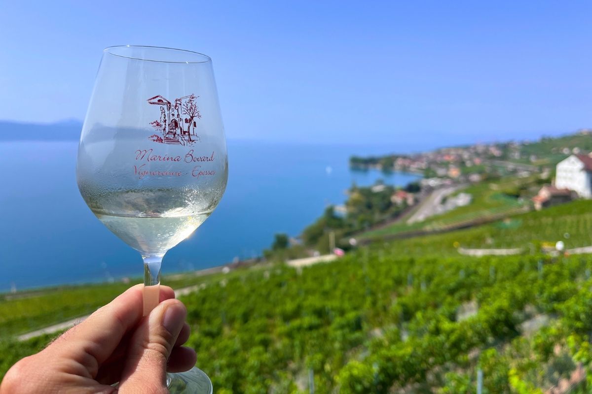 Lavaux — Switzerland's Vineyard Gem
