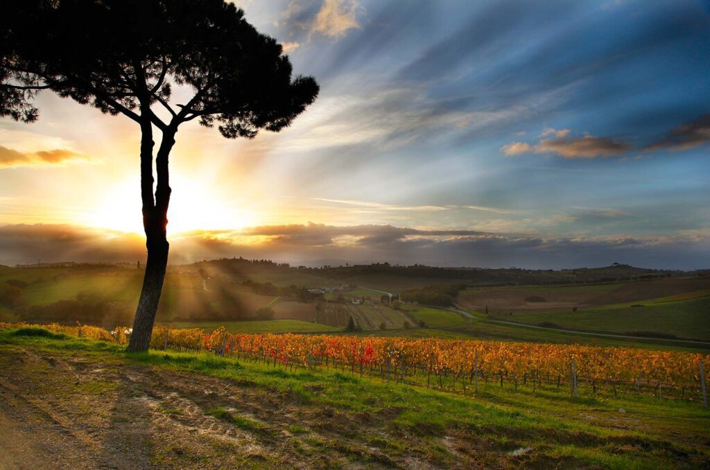 gorgeous Tuscan landscape with the setting sun