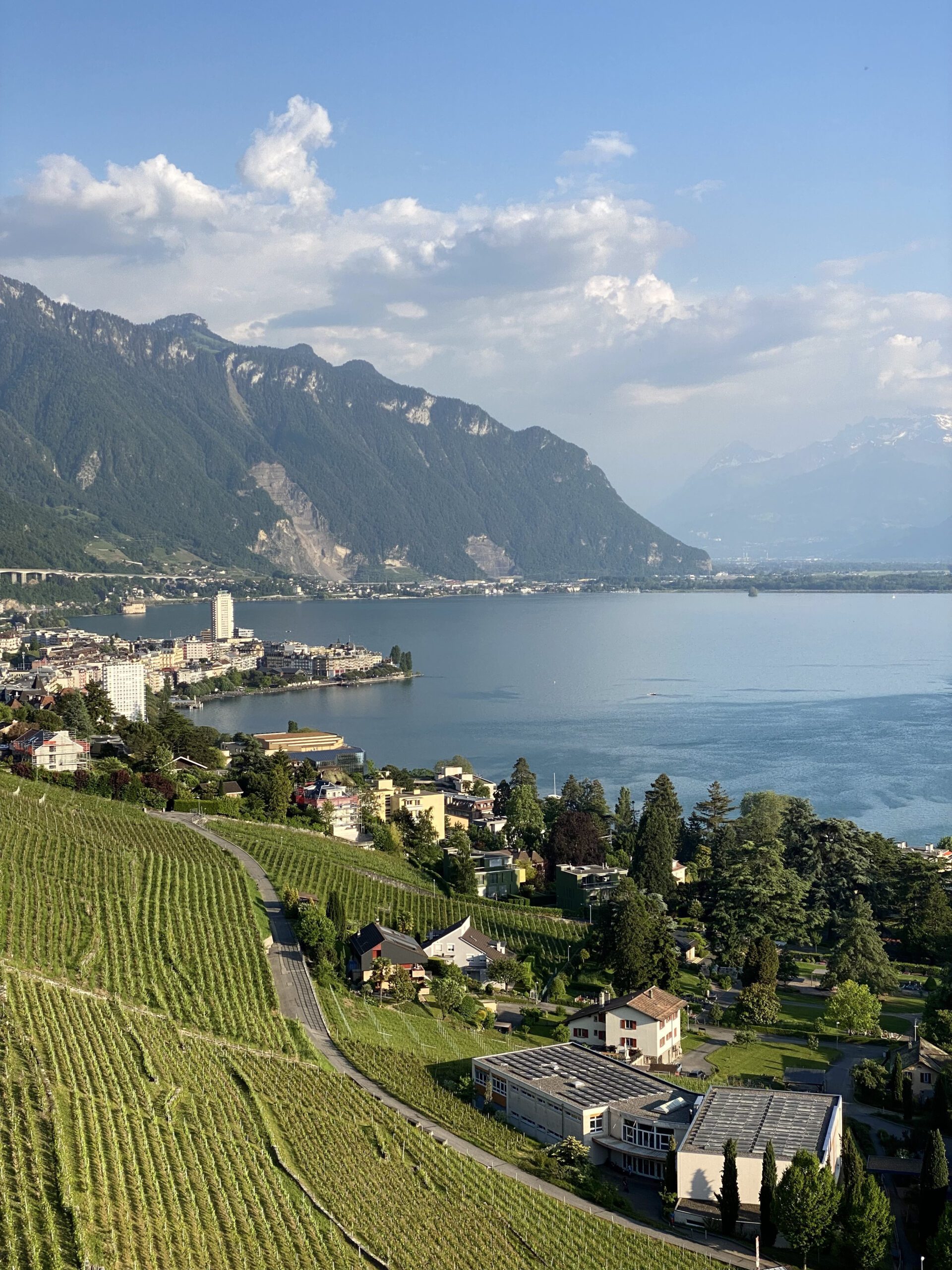 A whole different side of Switzerland: Lavaux