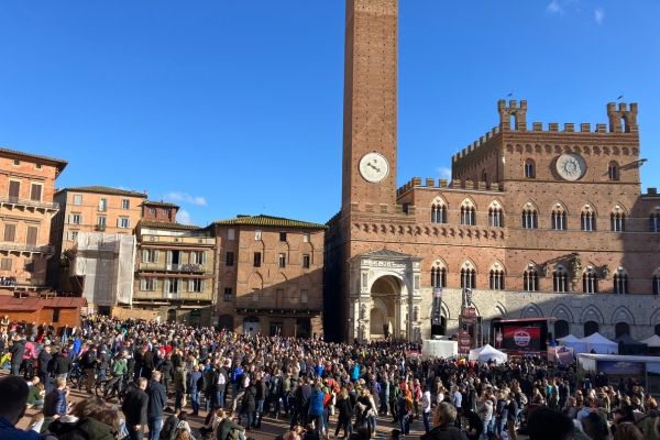 Finish viewing at Piazza del Campo