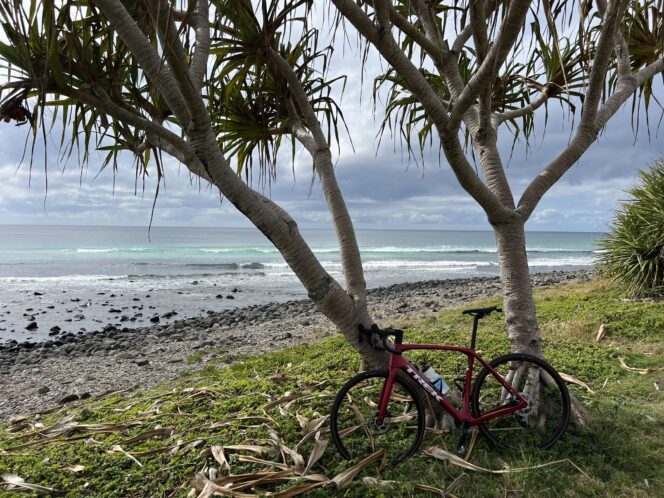 A bike against a tree next to the beach in Byron Bay