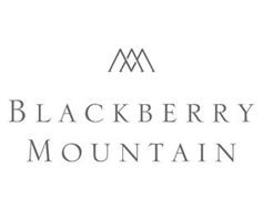 Blackberry mountain logo