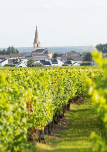 The pretty village of Bourgueil