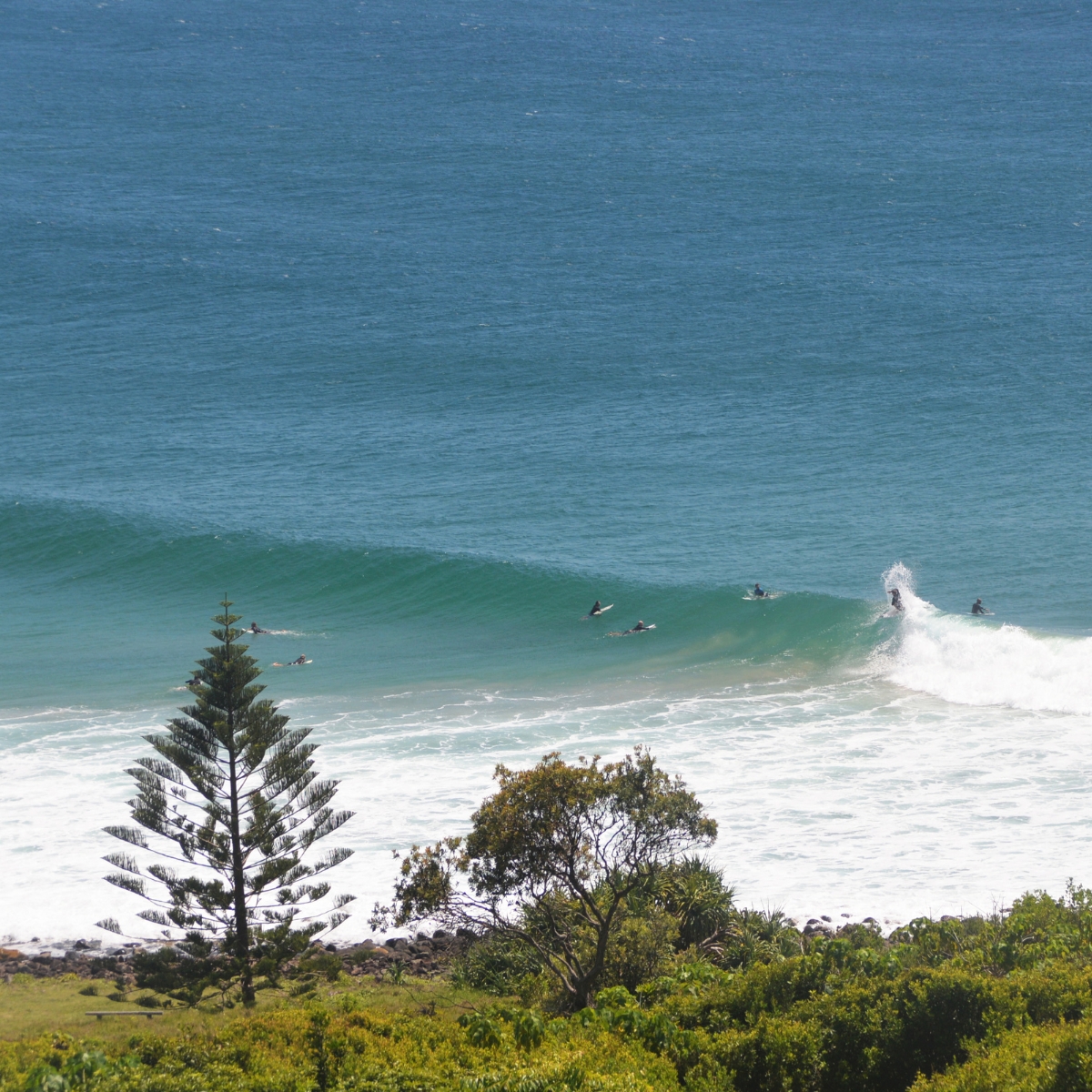 Admire skilled surfers riding the waves at the world-famous surf breaks in Lennox Head