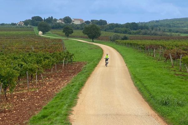 The Istrian Wine Trail