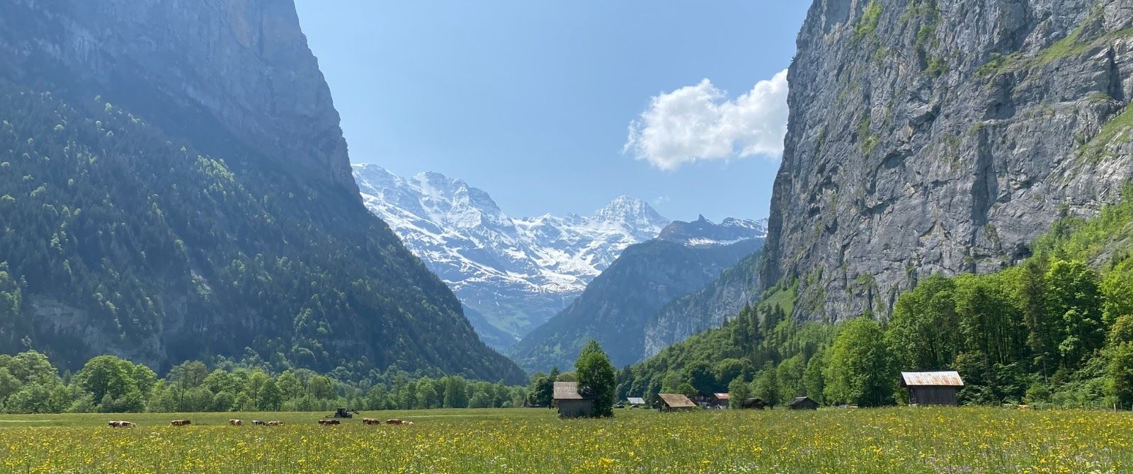 Switzerland Bike Tours