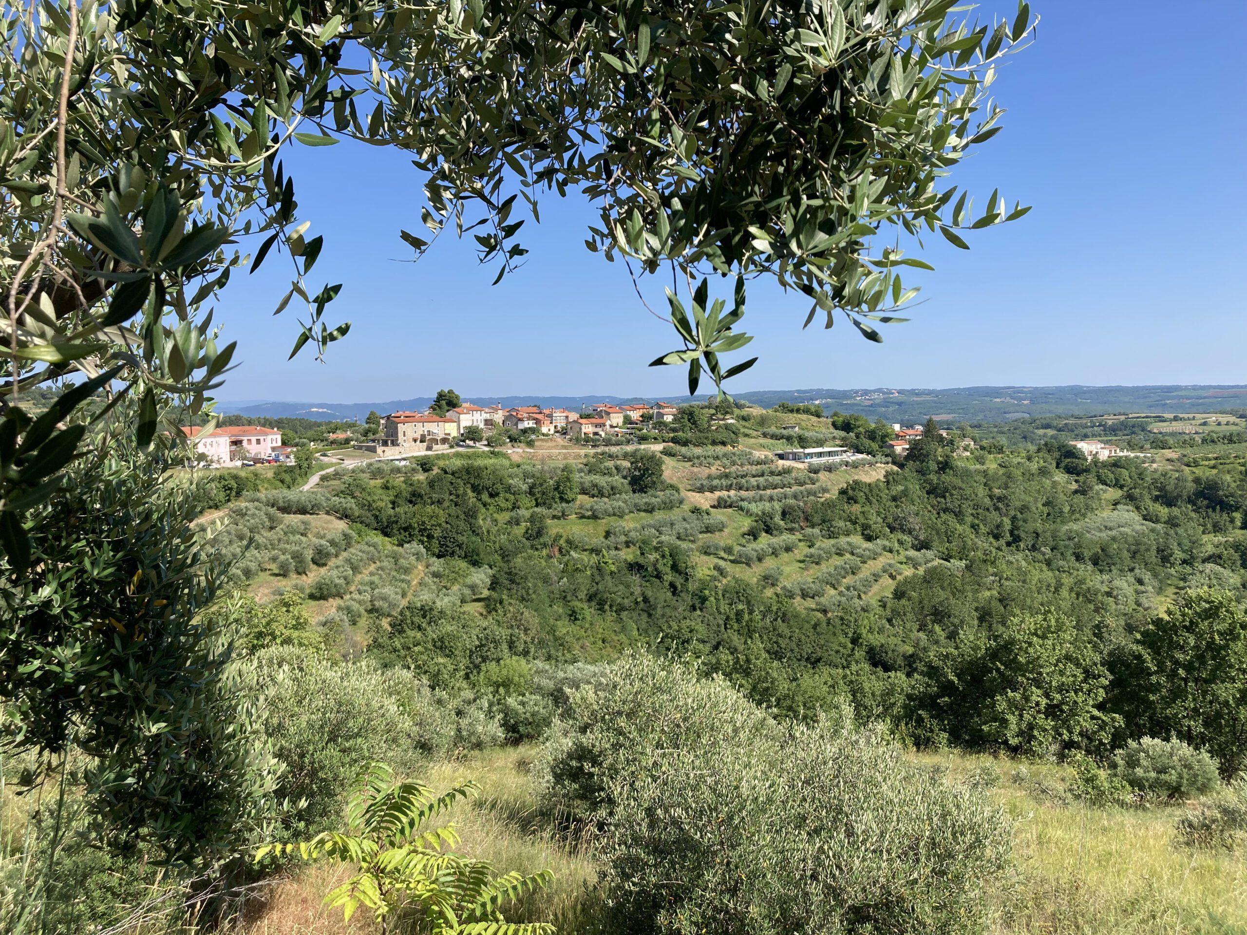 A distant view of a town on a hill.