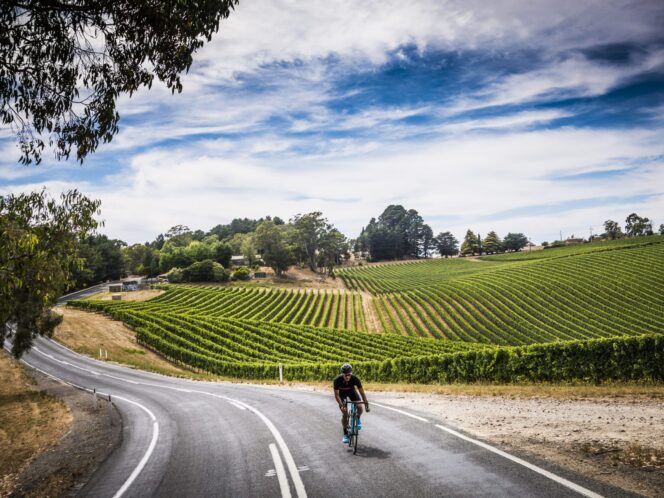 Cyclist along the road in Adelaide Hills
