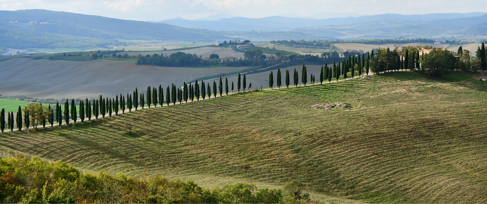Welcome to Tuscany and enjoy a picturesque warm up ride