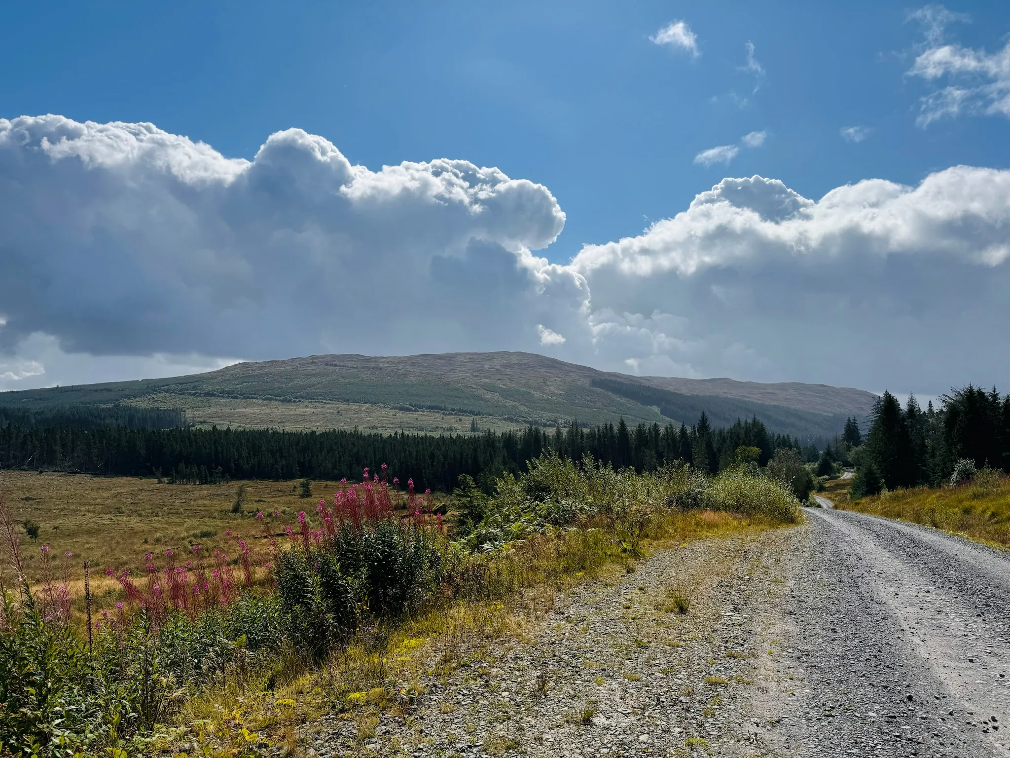 Scotland Gravel Bike Tour