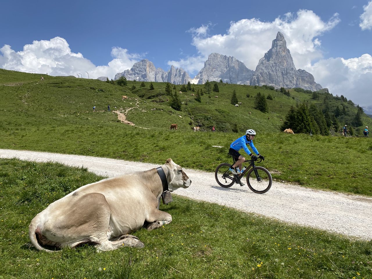 Pale di San Martino