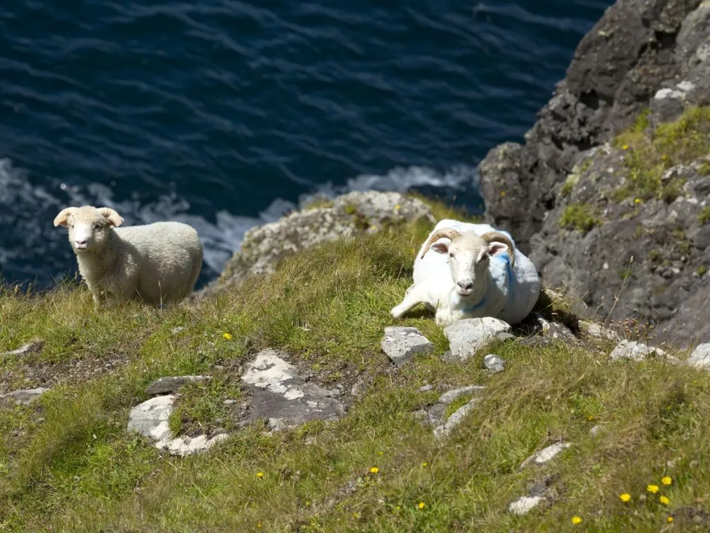 Ireland Hiking & Walking Tour
