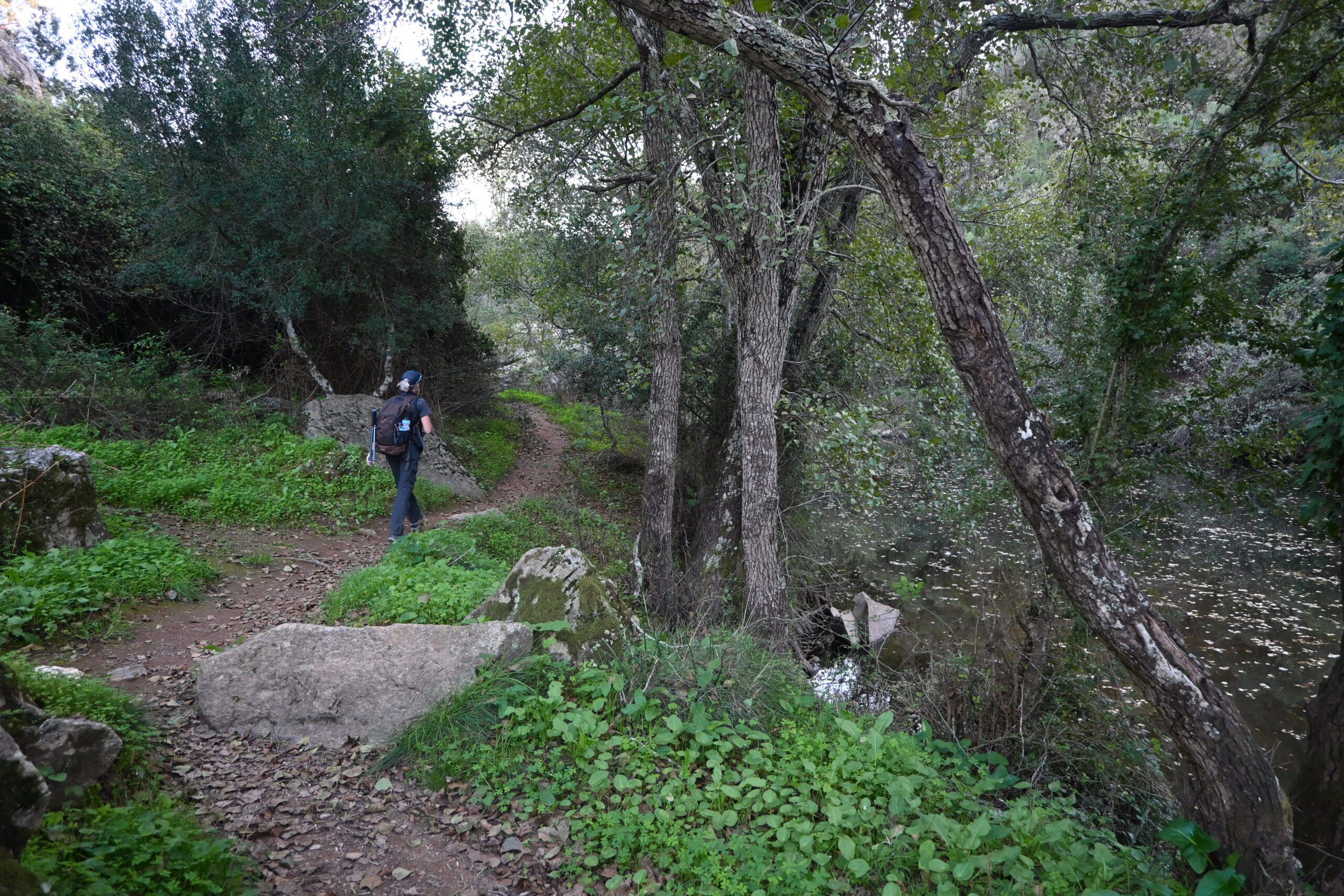 Experience the true essence of Alentejo