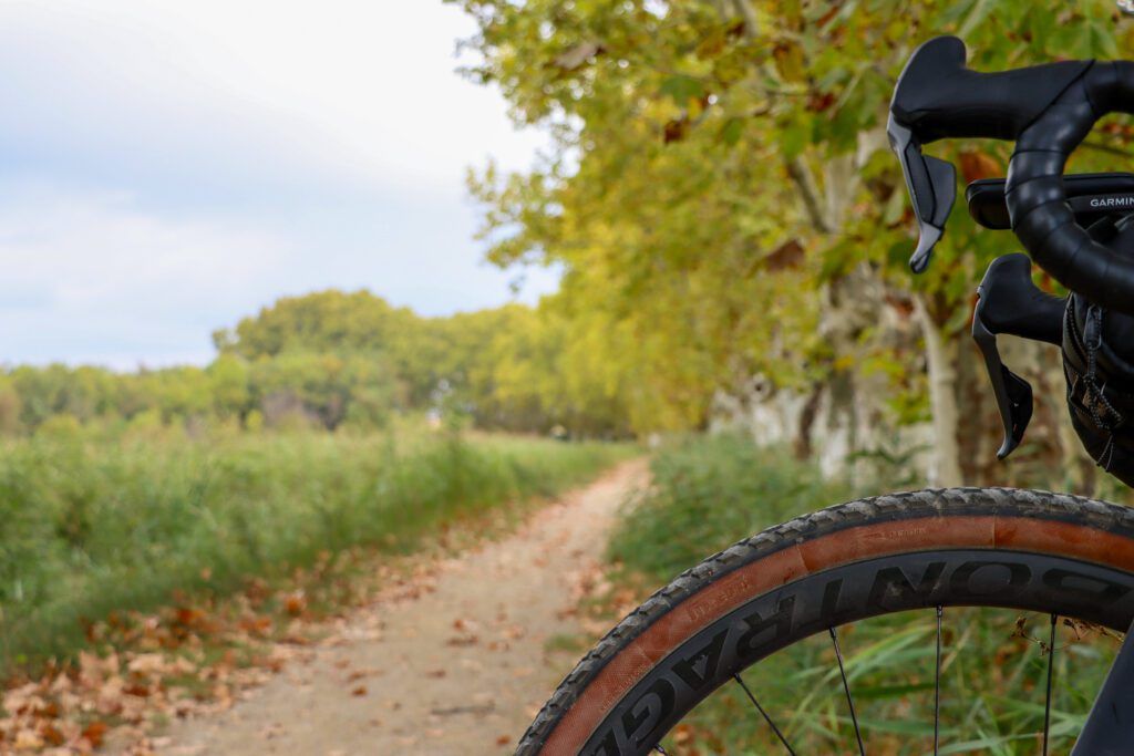 A gravel bike tire on a gravel road.