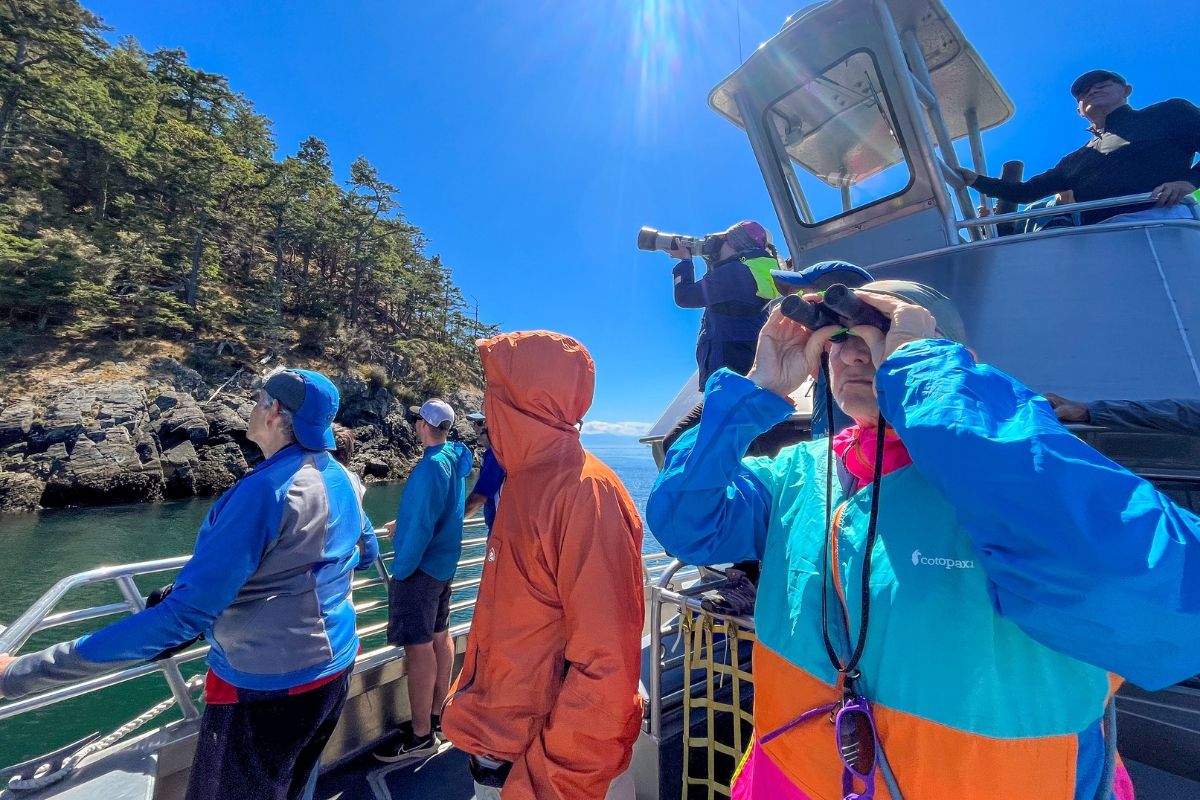 Island wildlife cruise 