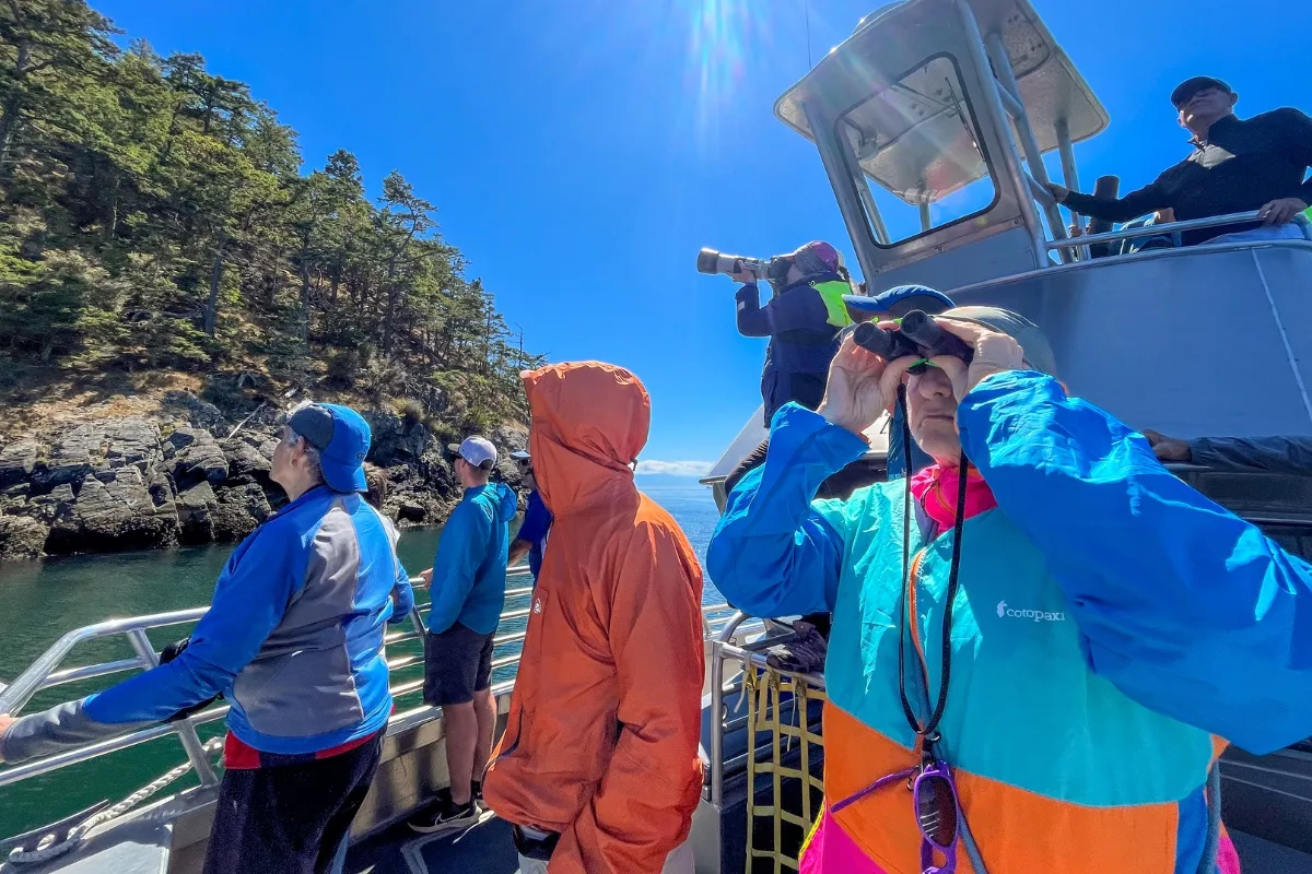 Island wildlife cruise 