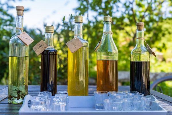 Featured Meal | Farm-to-table lunch on an organic olive grove