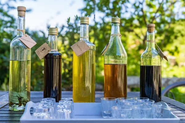 Featured Meal | Farm-to-table lunch on an organic olive grove