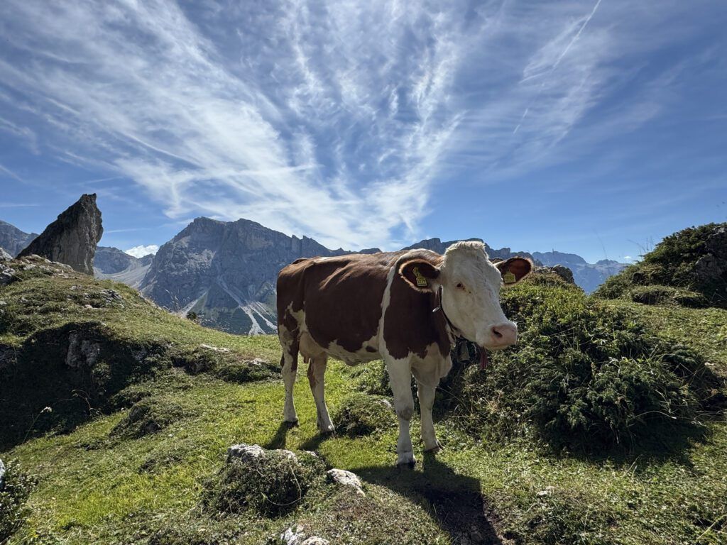 Dolomites Hiking & Walking Tour