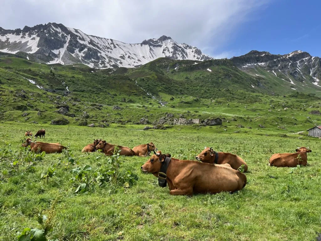 French and Italian Alps Hiking & Walking Tour