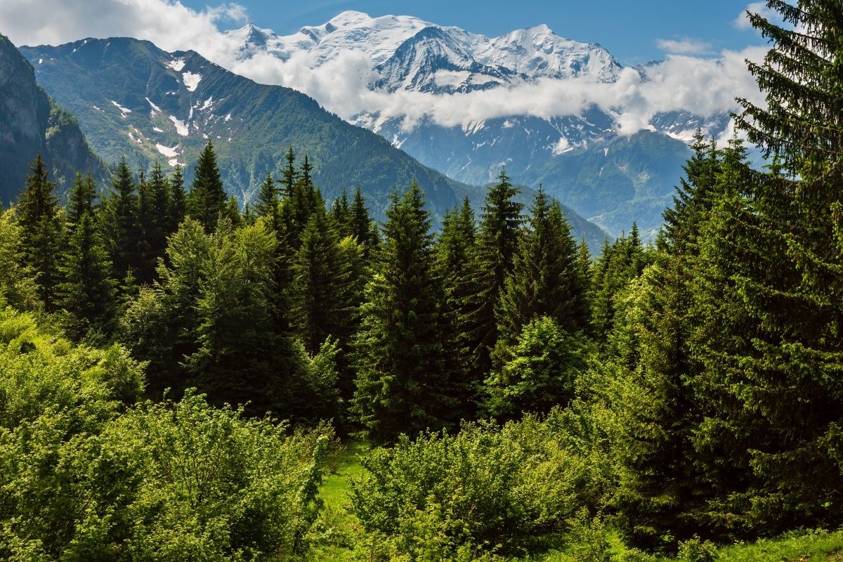 First glimpse of the Mont Blanc