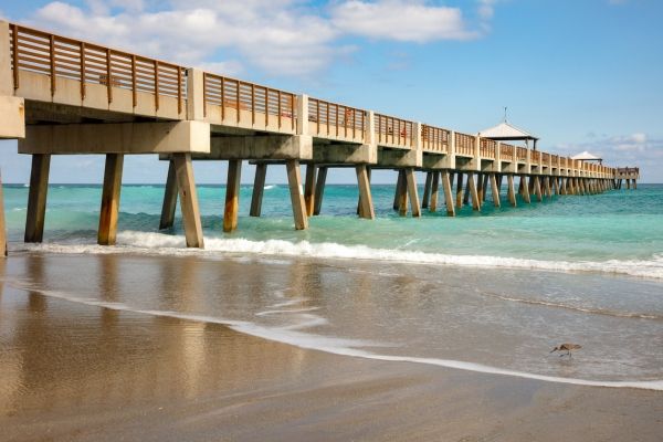 Juno Beach