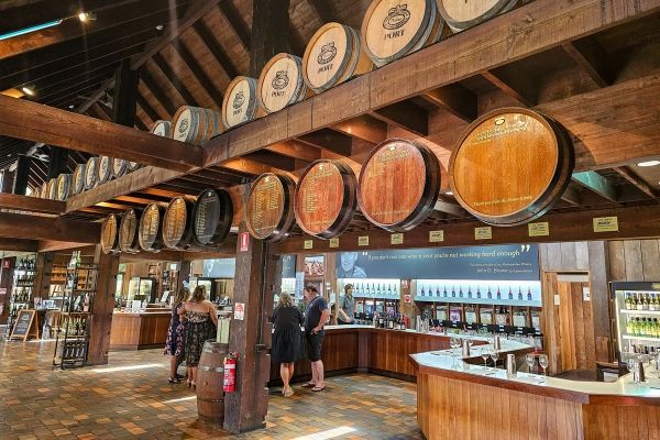 Wine tour and tasting at Brown Brothers