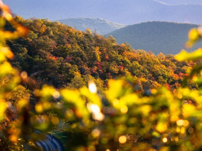 Asheville to Greenville Bike Tour